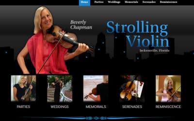 Strolling Violin